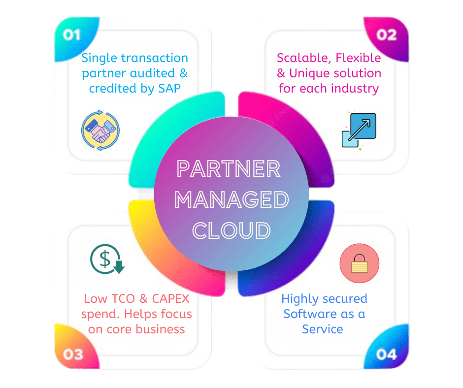 Partner Managed Cloud Service Provider